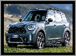 Countryman, Mini Cooper S